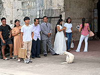 IMG_8889