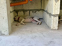 IMG_9107